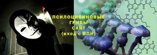 дживик Аркадак
