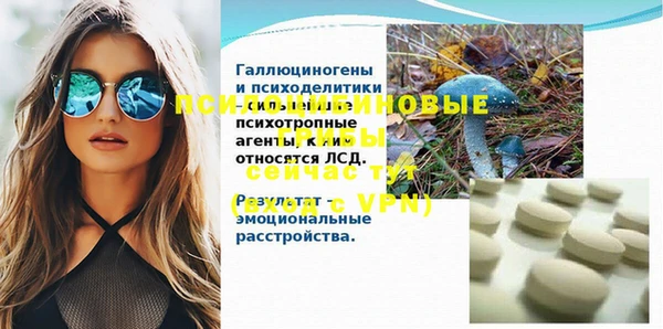 дживик Аркадак