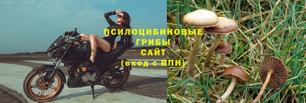 винт Армянск