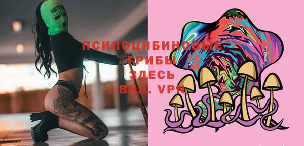 винт Армянск